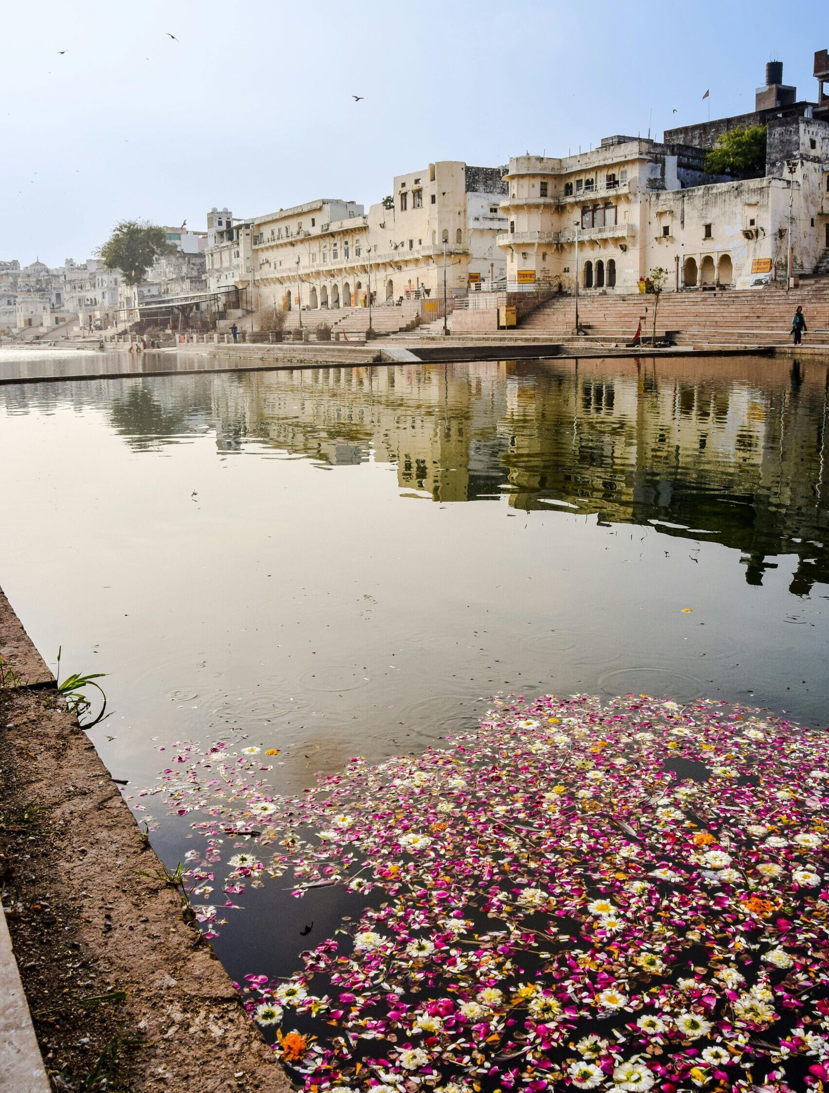 Pushkar Lake