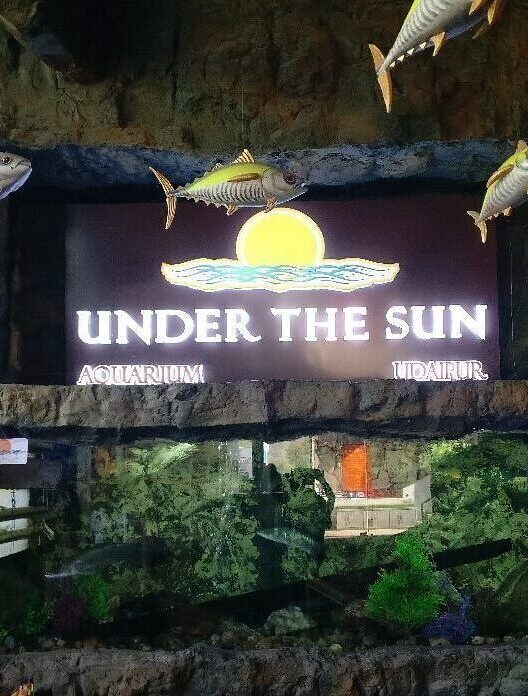 Under the Sun Aquarium