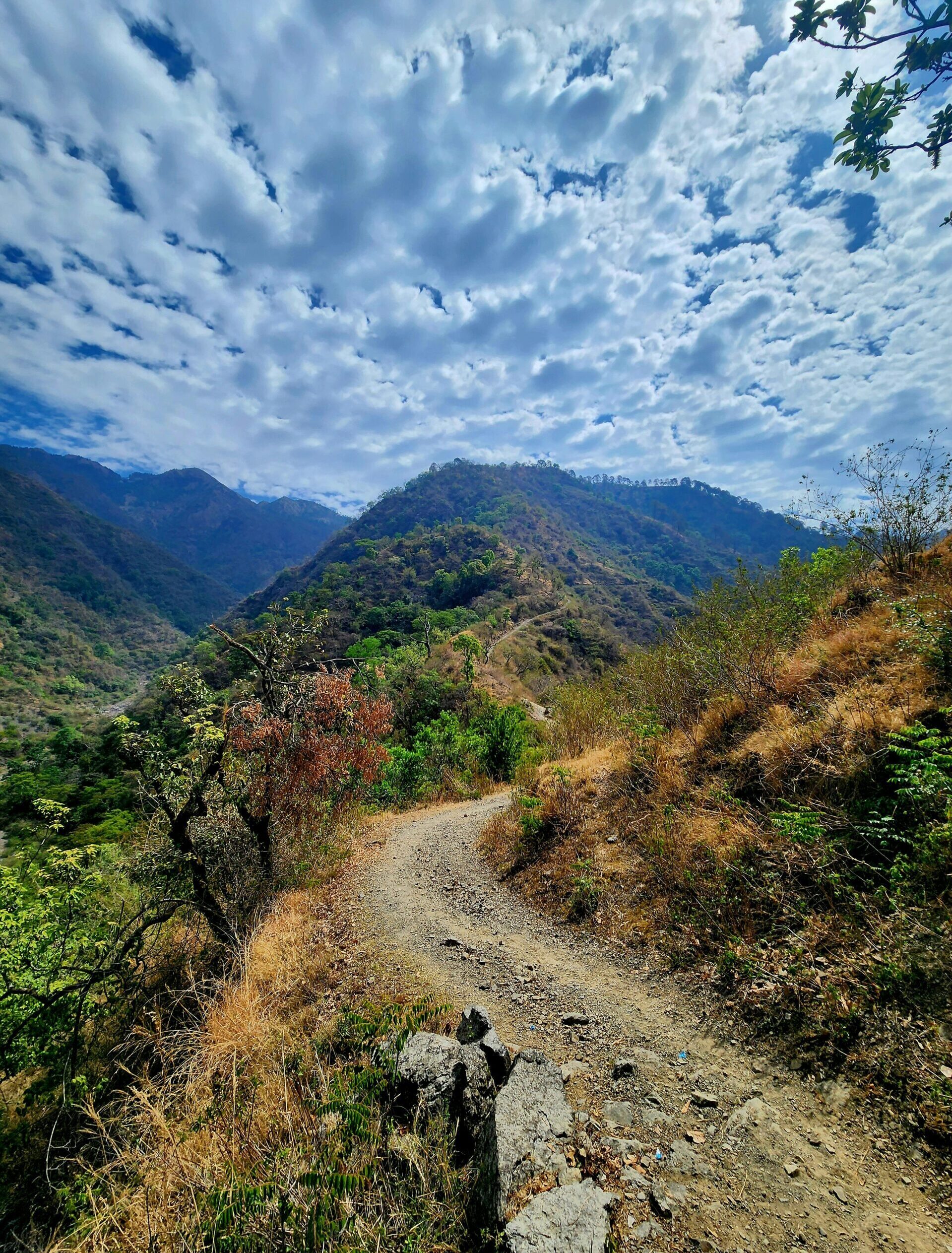 dehradun (18)