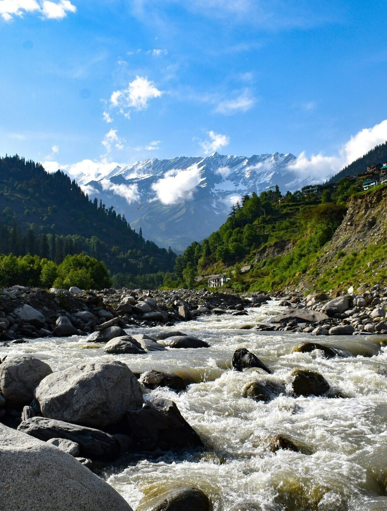 manali (7)