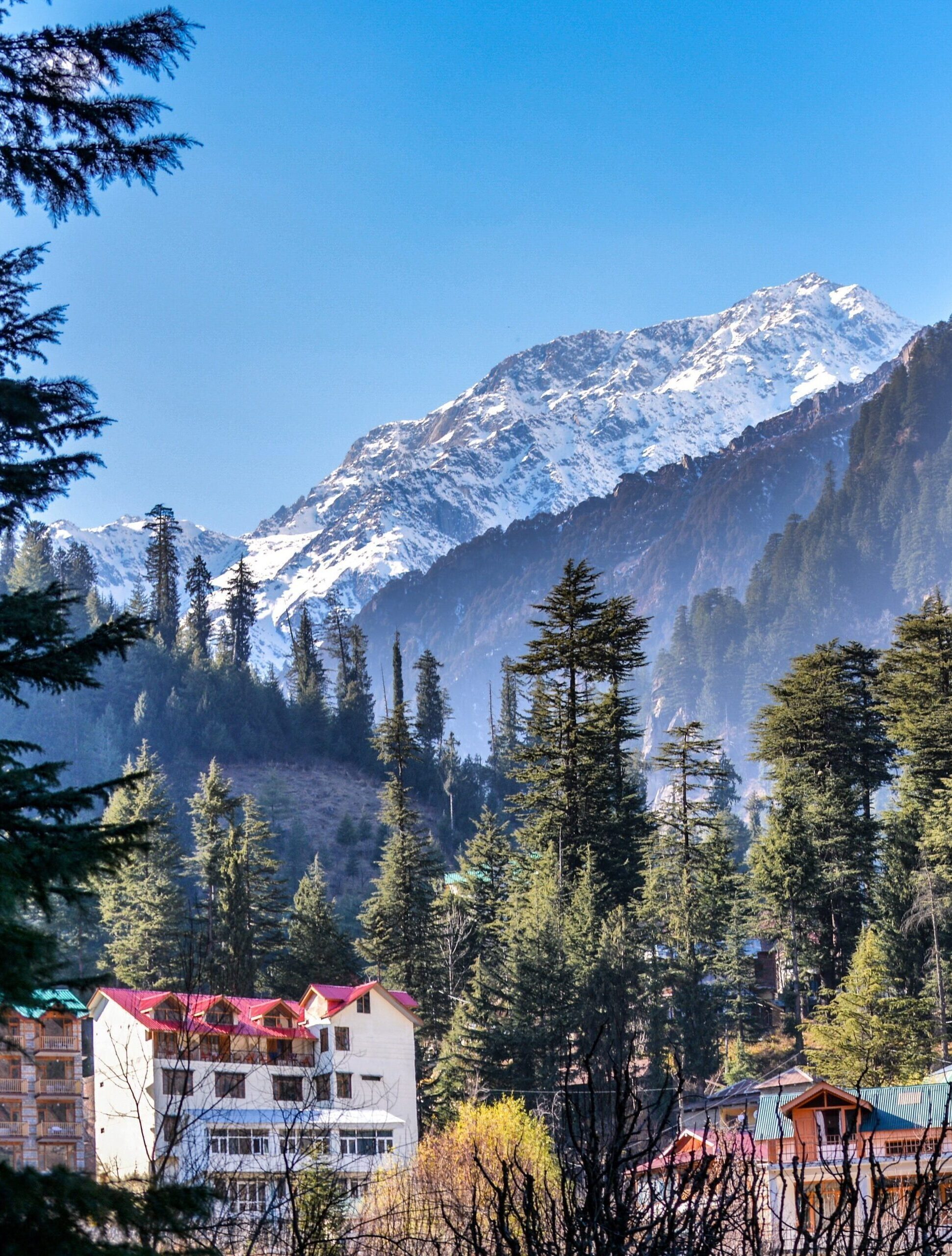 manali (8)